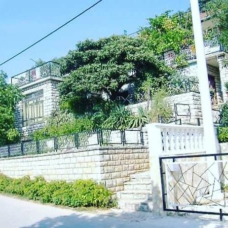 Apartment 51 Gornji Karin Dış mekan fotoğraf
